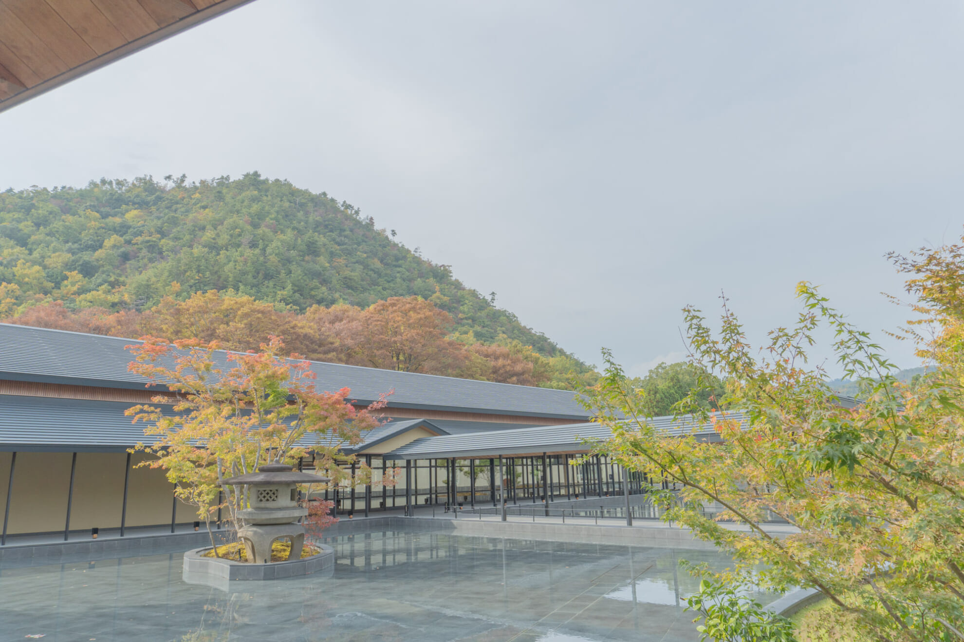DSC02960 風景
