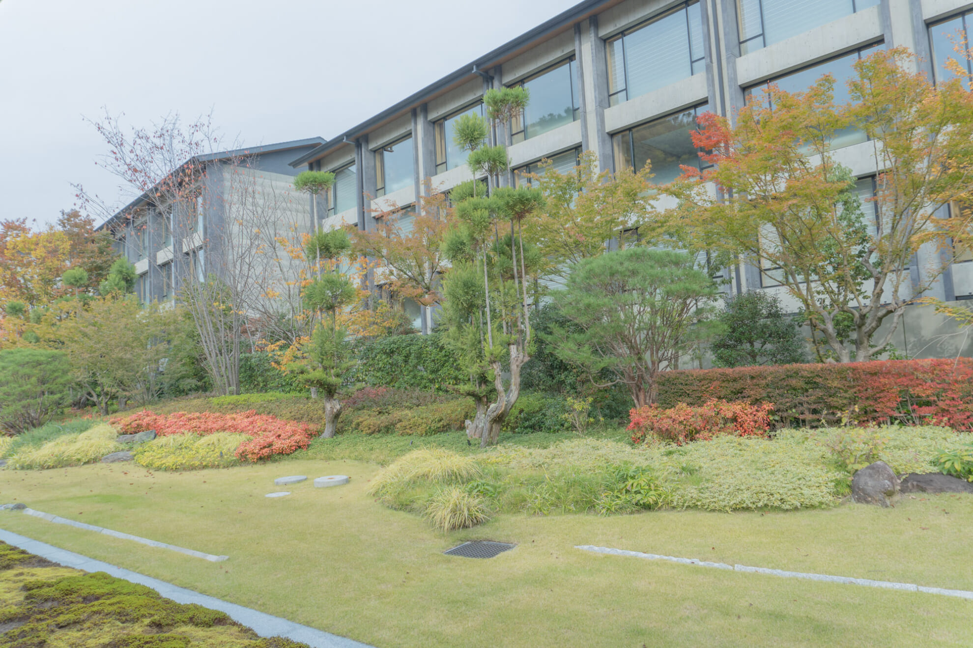 DSC02971 風景