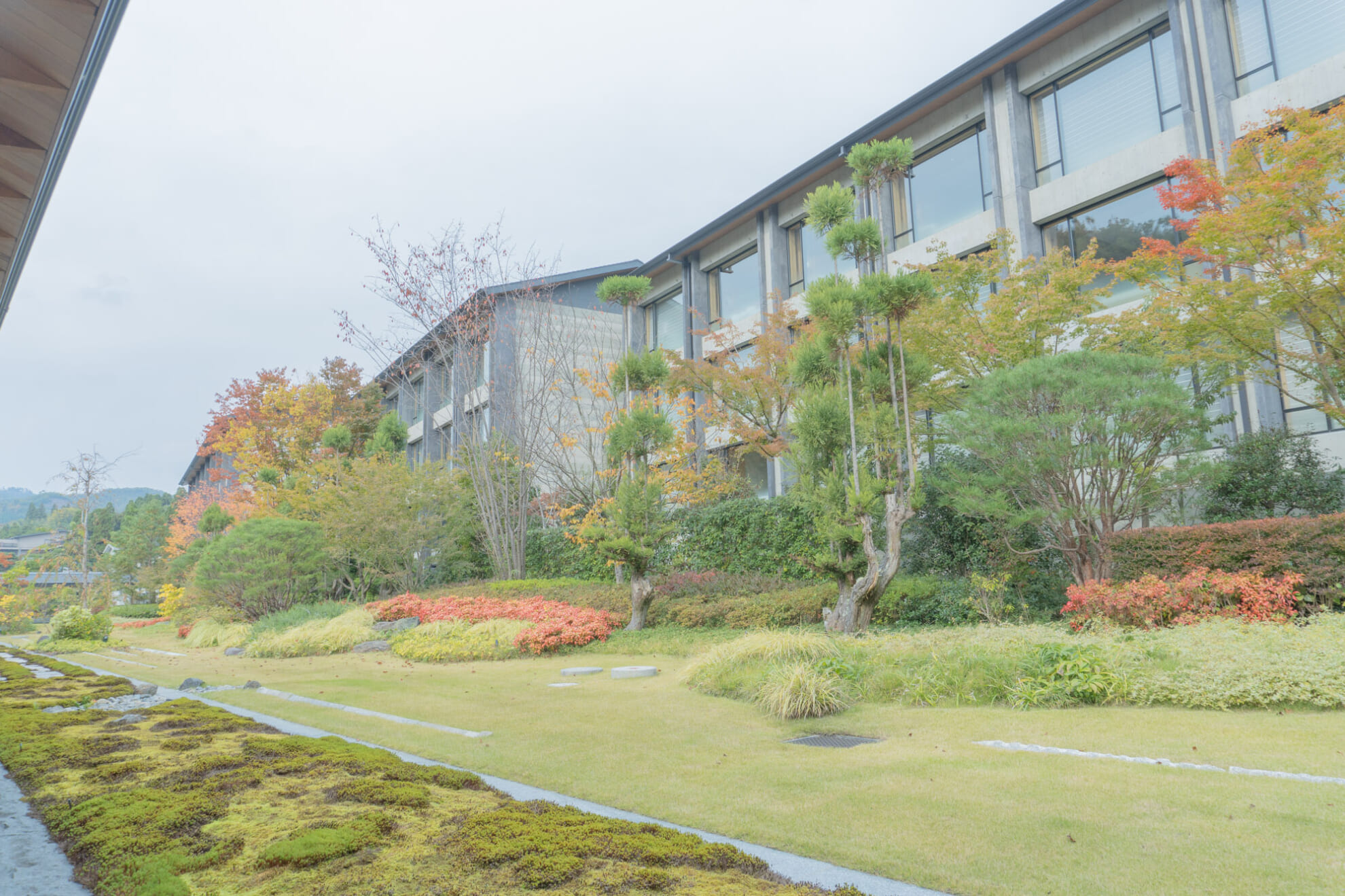 DSC02975 風景