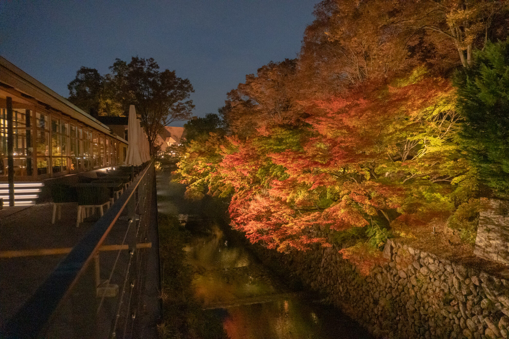 DSC03089 夜景